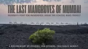 The Last Mangroves of Mumbai: Documentary Gives Voice to Common People