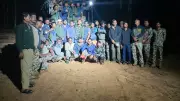 Tiger and Five Cubs Rescued in Bandipur Tiger Reserve, Shifted to Bannerghatta