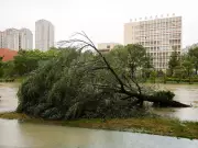 Typhoon Bavi Forces Evacuation of 1.7 Million in Eastern China