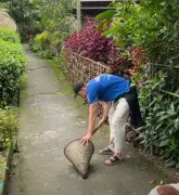 UK traveller challenges India waste stereotype at Asia's cleanest village