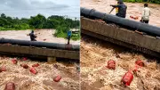 Video: 3,000 LPG Cylinders Swept Into River by Maharashtra Floods