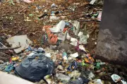 Villagers protest biomedical waste plant near Amritsar, cite health risks