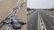 Why UK Roads Melt at 40°C but India's Survive Harsher Heat