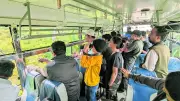 Wildlife Board Recommends More Safaris in Bandipur and Nagarahole