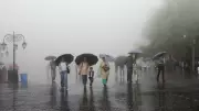 Yellow Weather Alert Issued for 5 Himachal Districts Till July 14
